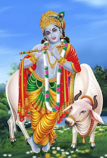 737+ Krishna Images in HD 737+ Krishna Images in HD