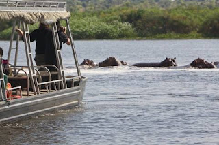 Gorilla Trekking In Uganda