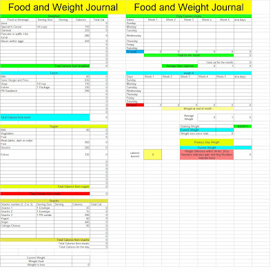 Food and Weight Tracking