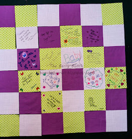 The Berry Bunch: 2015 Finish-A-Long: Baby Shower Quilt