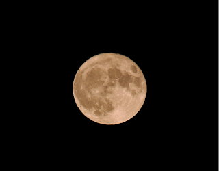 Dr. Mittelman's photo of a super moon