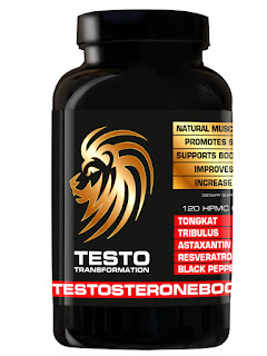 TESTO Transformation Testosteron Booster kaufen