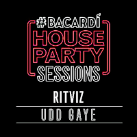 Ritviz - Udd Gaye Lyrics