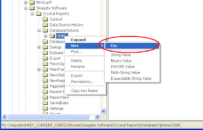 Registry Setting Crystal Report Penggabungan Dua File MySQL Pada Visual Basic 6.0