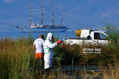 Συνεχίζεται εντατικά το Πρόγραμμα Καταπολέμησης Κουνουπιών από την Περιφέρεια Πελοποννήσου στην Αργολίδα (βίντεο)