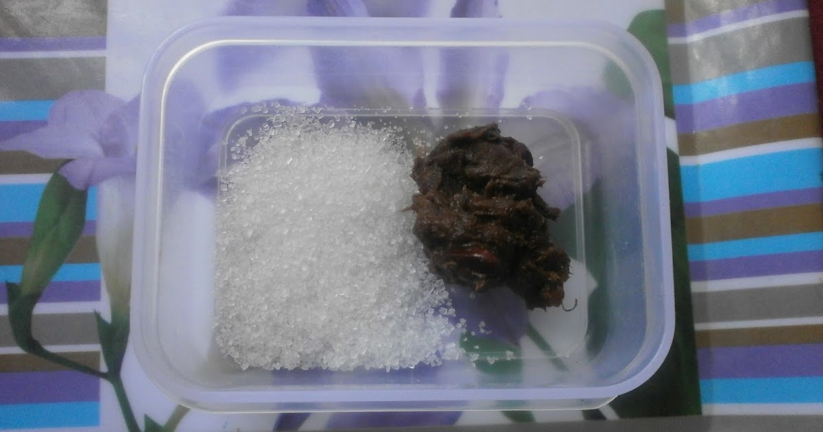 Cara Hilangkan Sakit TekakSuatu Perjalanan