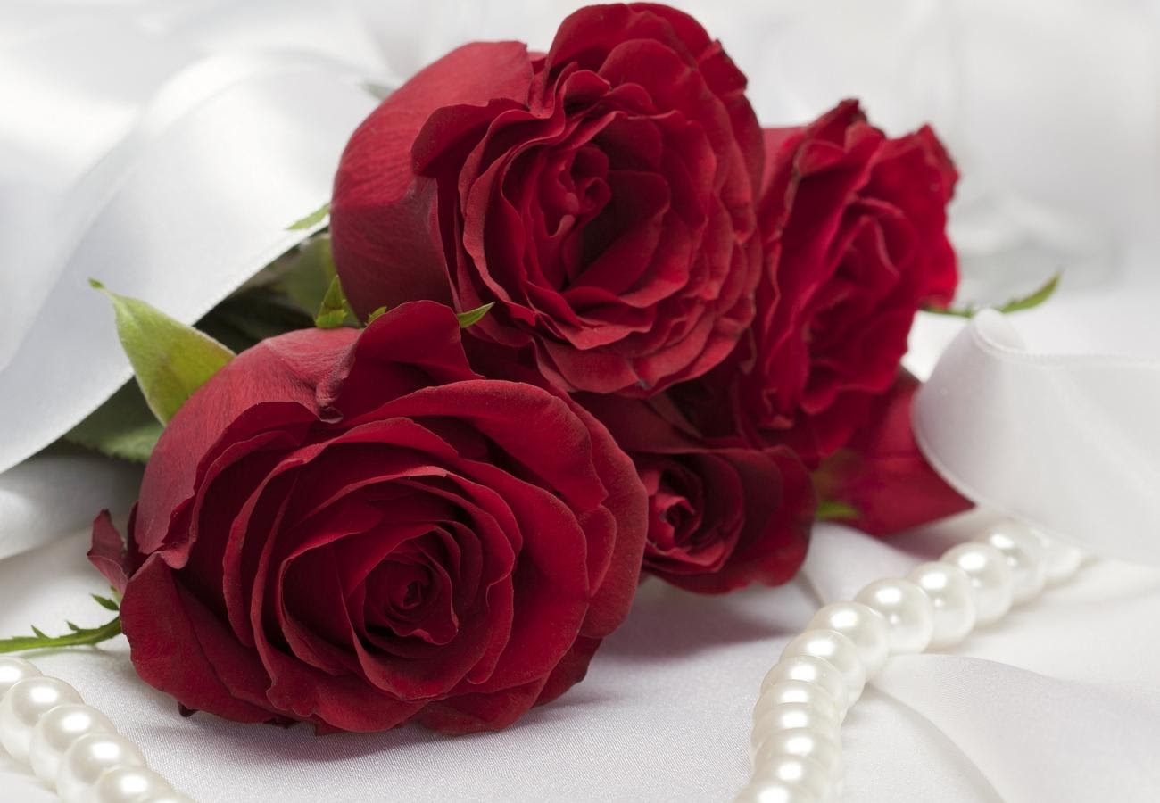 Download Red Rose Live Wallpaper Free Download Gallery