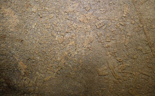 Espeleología en la Cueva del Pando.