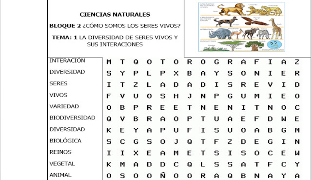 Sopas de Letras Temáticas del Bloque 2 de Primaria 