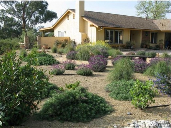 The Green Garden