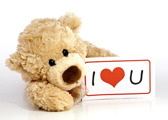 Cute Romantic I Love Teddy Bear Wallpaper