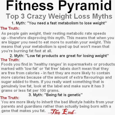 Fitness Pyramid, Top Crazy Weight Loss Myths, Weight Loss Myths, Health and Wellness, Weight Loss, 
