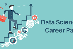 Data Scientist Career Path from Novice to First Job