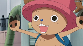 ワンピースアニメ シャボンディ諸島編 391話 チョッパー Tony Tony Chopper | ONE PIECE Episode 391