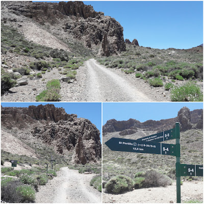 GR-131 TRAMO 5 EL PORTILLO - CENTRO DE VISITANTES (S-4 Siete Cañadas) A DEGOLLADA DE GUAJARA (S-5), pista Siete Cañadas y bifurcación hacia la Degollada de Guajara S-5