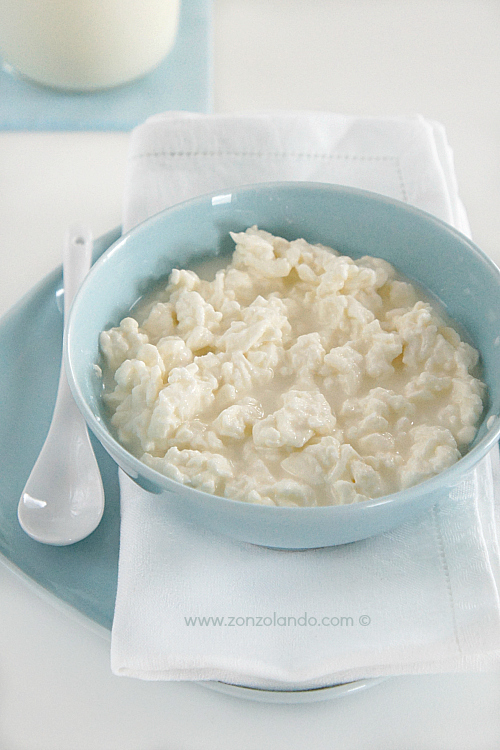 Come preparare i fiocchi di latte yocca fatti in casa ricetta - Homemade cottage cheese recipe