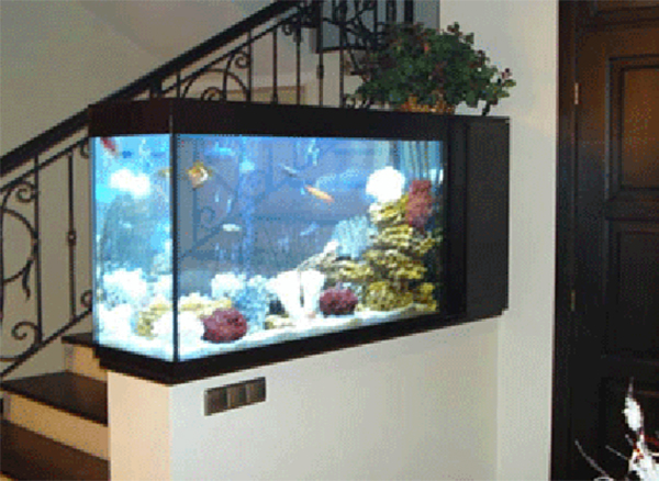 Galleri Aquarium  Untuk Interior Rumah Anda Istana Aquarium 