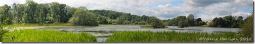 6-Hide-panorama