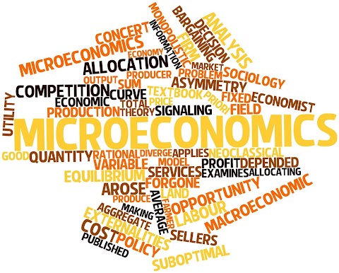 거시경제학의 미시경제적 기초: 소비이론 2️⃣ (소득효과,대체효과)