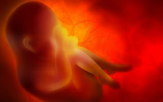 Celler lär sig från graviditet, för att göra hälsosammare barn nästa gång - studier