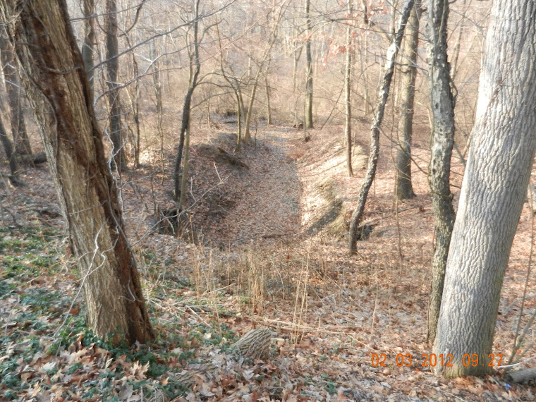 This is the South side of Merrill Road,where the lake overflow is supposed to come out.