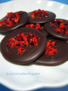 cranberry-goji-dark-chocolate-coins