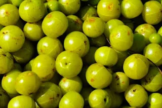 शुगर (डायबिटीज) में कौन से फल खाने चाहिए | Fruits For Diabetes Patient in Hindi