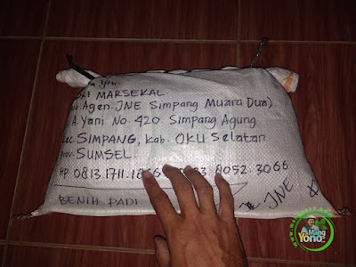 ANDRI MARSEKAL Simpang, OKU Selatan  (Sesudah Packing)