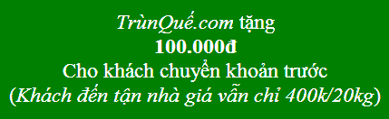 Trùn quế Dak Lak