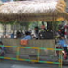 View album