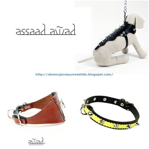 assaad-awad-ohmycan