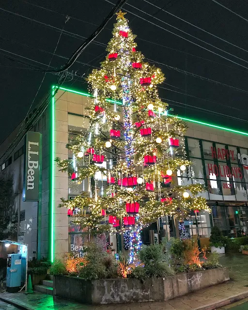 L.L.Bean吉祥寺店のクリスマスツリー