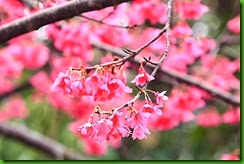 clip_image010