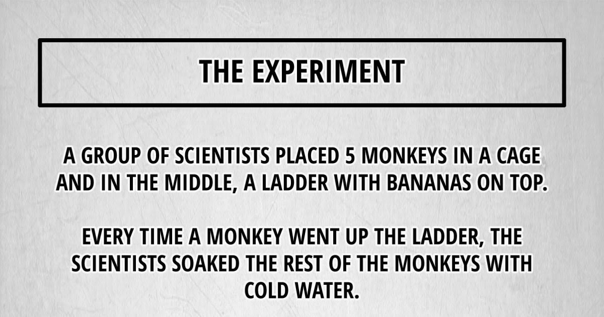 The Experiment - A group of scientists placed 5 monkeys in a cage and in the middle, a ladder with bananas on top. Every time a monkey went up the ladder, the scientists soaked the rest of the monkeys with cold water.