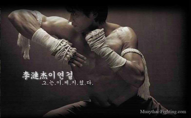 muay thai wallpaper. muay thai wallpapers.