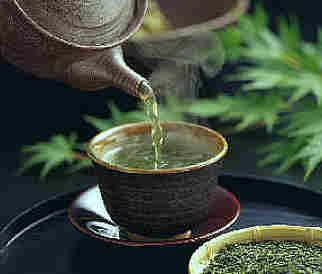 Anti Aging Treatments -hot Green tea