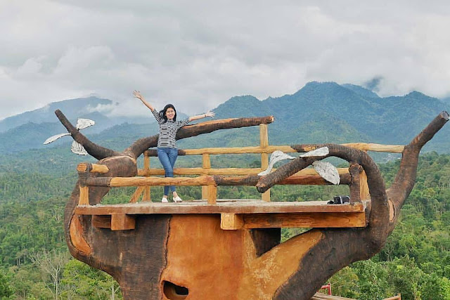 Bukit Gandrung Malang Jawa Timur