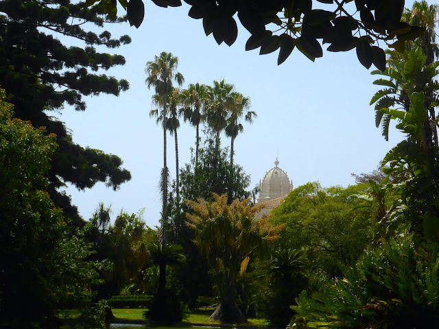 Lisbona-Jardim-Botanico-Tropical