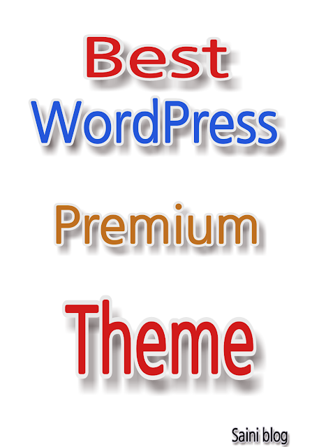 Best premium WordPress theme