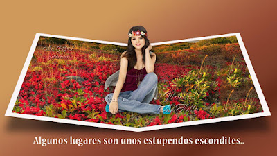 Frases  - Mensajes