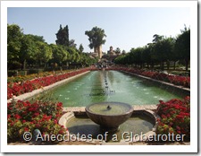 Another section of garden