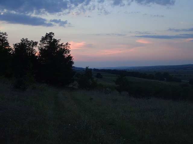 Śpimy na górce nad drogą, blisko sadu