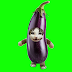 Eggplant Cat Green Screen Copyright Free Videos Free Download