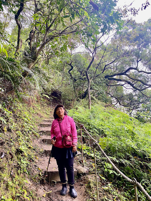 王公坑山登山口