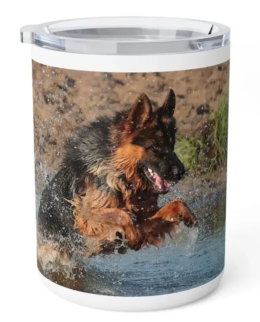 Insulated Stainless Steel Coffee Mug With Large Black and Read Long Coat German Shepherd Jumps in the Water
