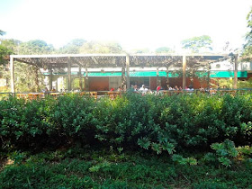 Restaurante do Jardim Botânico de São Paulo