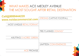 Ace Medley Avenue Retail Shops