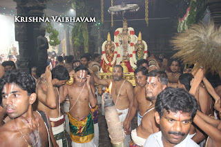 Sri TheliyaSingar , Sri Gajendra Varadhar, Samrokshanam, 2016, Video, Divya Prabhandam,Sri Parthasarathy Perumal, Triplicane,Thiruvallikeni,Utsavam,