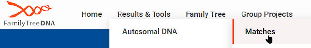 autosomal DNA matches