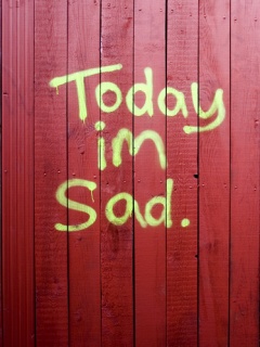 Today_Im_Sad.jpg (240×320)